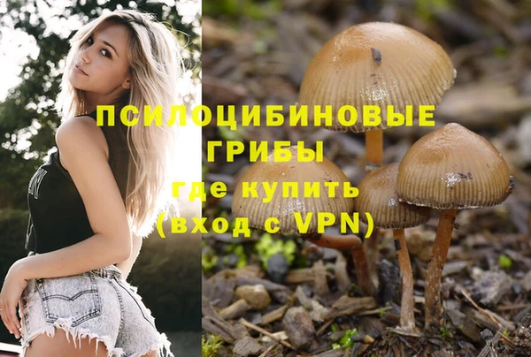 хмурый Алексеевка