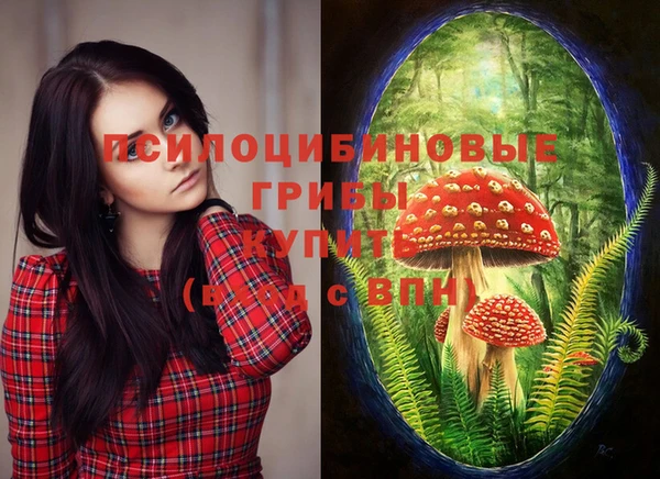 хмурый Алексеевка